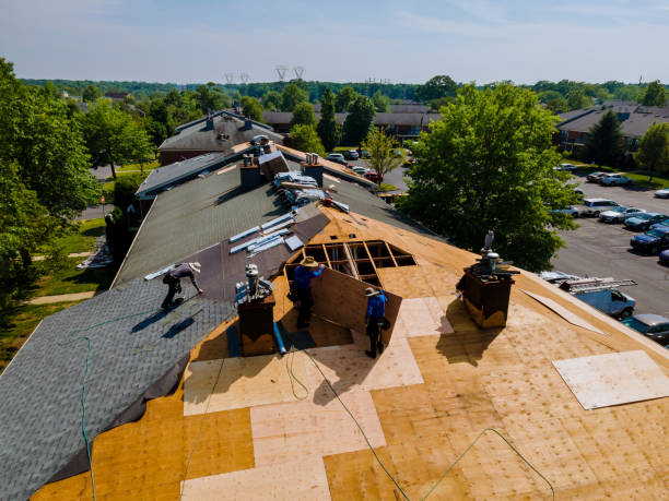 Best Storm Damage Roof Repair  in Whitmore Lake, MI