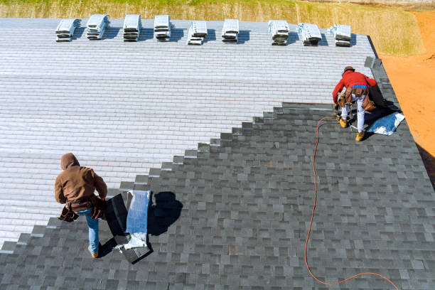 Best Roof Maintenance Services  in Whitmore Lake, MI