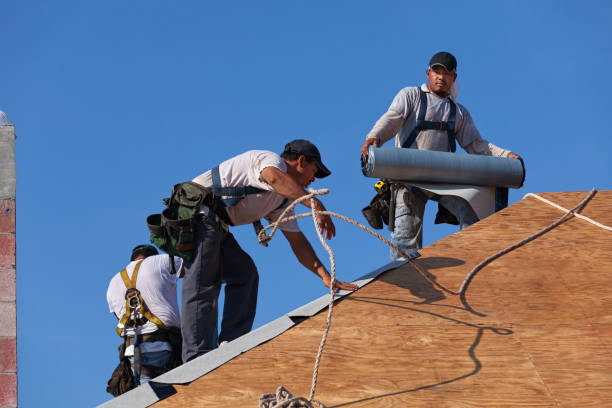 Best Slate Roofing Contractor  in Whitmore Lake, MI