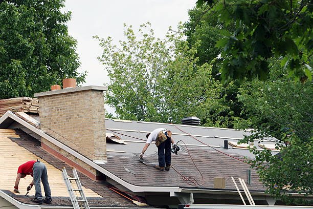 Best Storm Damage Roof Repair  in Whitmore Lake, MI