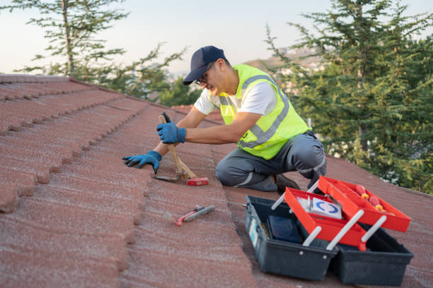 Best Roof Leak Repair  in Whitmore Lake, MI