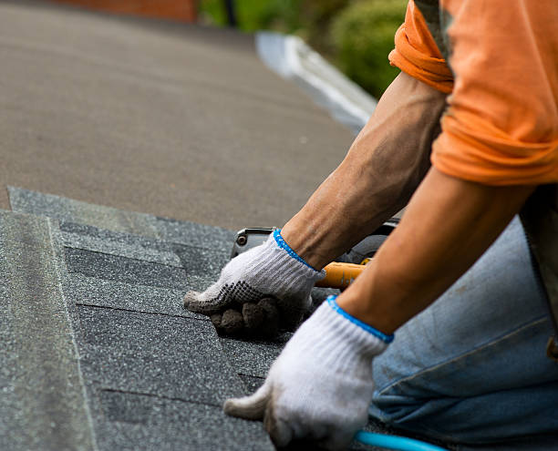 Best Roof Waterproofing Services  in Whitmore Lake, MI