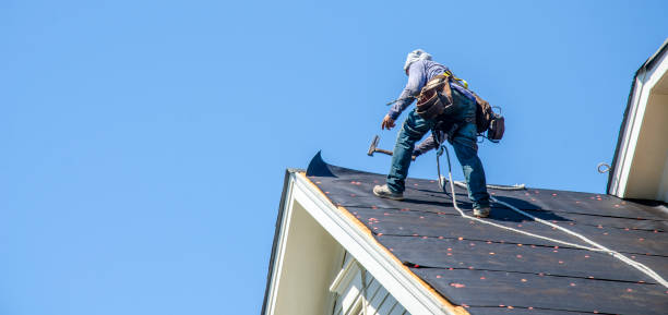 Best Residential Roof Replacement  in Whitmore Lake, MI